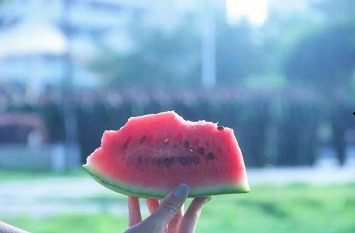 带你吃瓜世界通,一网打尽吃瓜世界