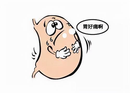 胃痛可以吃蓝瓜吗,胃痛患者的天然舒缓美食选择