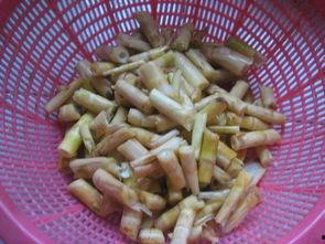 笋 瓜怎幺吃,从家常到创意烹饪